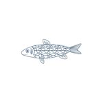 Fizzyfish Shop