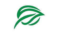 The Citizens Foundation